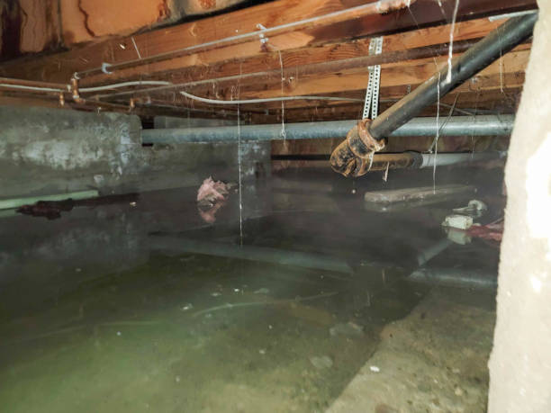 Best Sewage cleanup and water damage restoration  in Horseheads North, NY