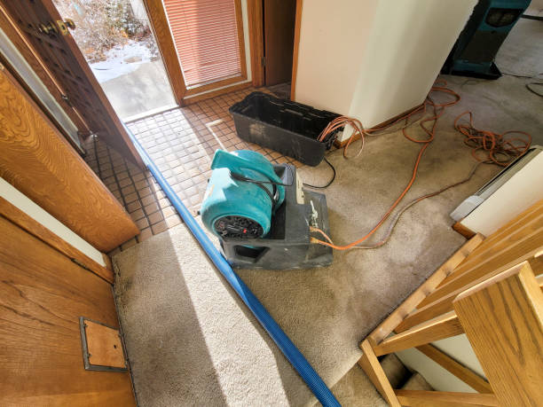 Professional Water damage restoration in NY