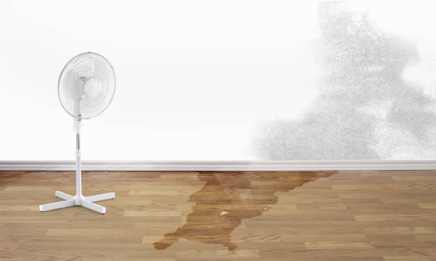 Best Local water damage restoration  in Horseheads North, NY